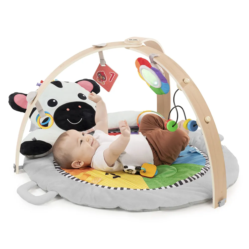 Baby Einstein Plush Babygym