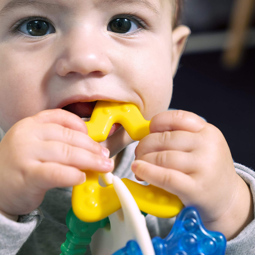 Baby Einstein bitring havstema