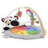 Baby Einstein Plush Babygym