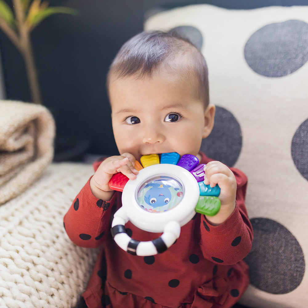 Baby Einstein bläckfisk 2 i 1 Skallra/Bitring