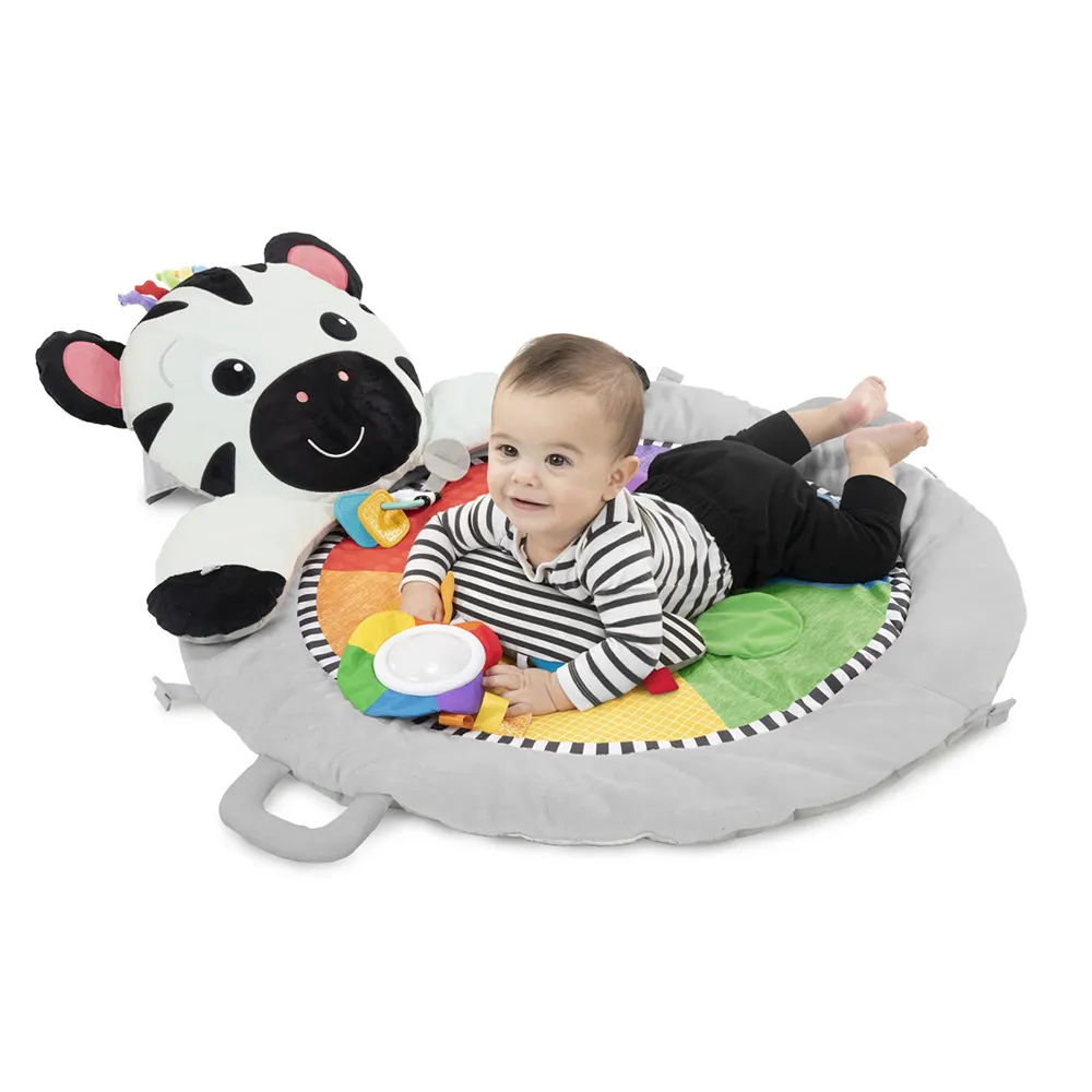 Baby Einstein Plush Babygym