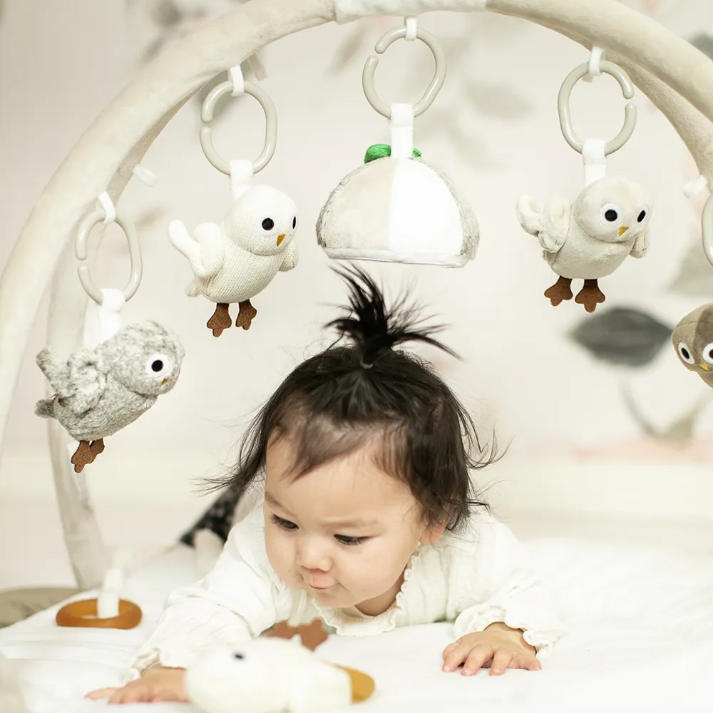 Rätt Start Owls Babygym